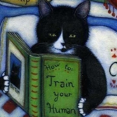 GakulRat's profile picture. A place full of ramblings. Sharing everything about books, games, and life.