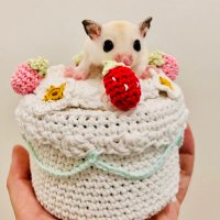 Luludja モモンガ&ガラゴ＆コウモリ＆リスの森 (@ameri_momonga) 's Twitter Profile Photo