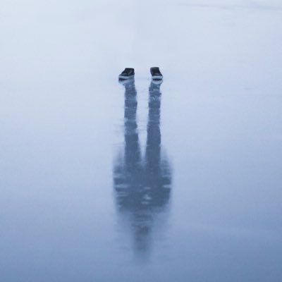 TalesInTheDust's profile picture. كَدَعواكِ كُلٌّ يَدَّعي صِحَّةَ العَقلِ .. وَمَن ذا الَّذي يَدري بِما فيهِ مِن جَهلِ .