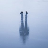 داخل المكتبة (@books_nook) Twitter profile photo