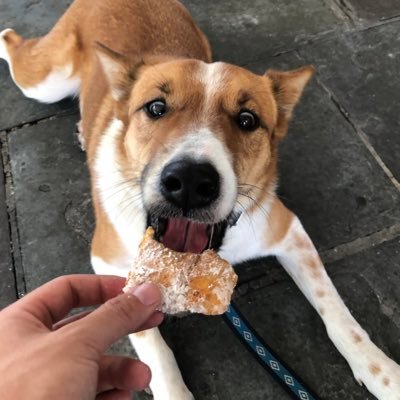 b_lee24's profile picture. 