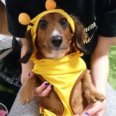 ルルさんのプロフィール画像