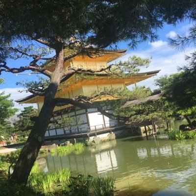 tQFwfYcPue91993's profile picture. 