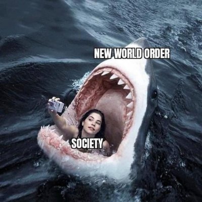 PitShostingStar's profile picture. Deleted old account @yoda... now, I'm just back to inform & spread some cheer.  Maybe you'll learn something, or laugh.  If not, you probably like govt. cheese.