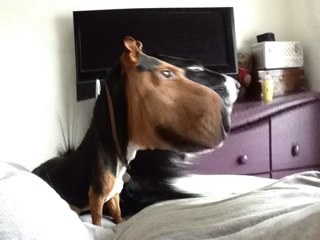 oliverpearson74's profile picture. 