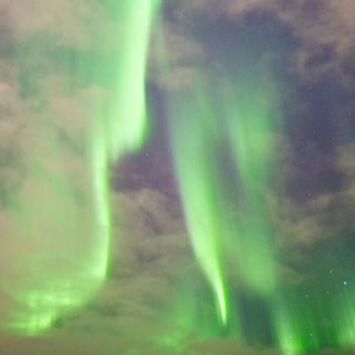 FrankWa63717388's profile picture. let it be