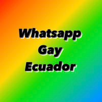 WhatsApp Gay Ecuador (@whatsapp_gay) 's Twitter Profile