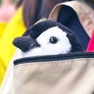 たわし🦙さんのプロフィール画像