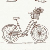 🚲 frei - jottes (@jottes) 's Twitter Profile