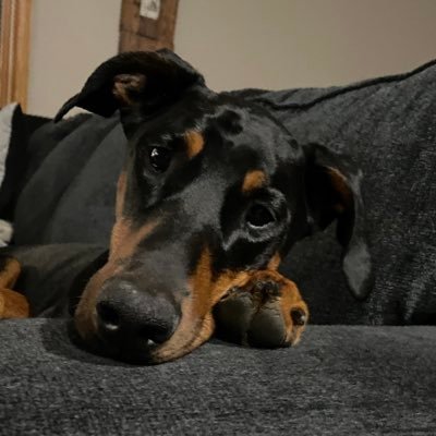 HooliganWi715's profile picture. Husband, father, volunteer firefighter, Patriot.