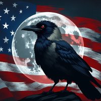 MoonCrow ๐บ๐ธ (@mooncrow11) 's Twitter Profile