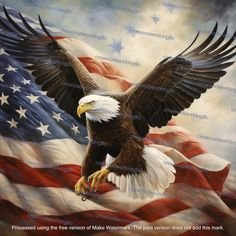 IleenYoung7971's profile picture. 