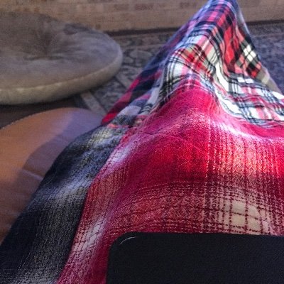 steve_squier's profile picture. 