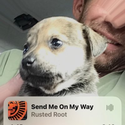 badnewsJeffHi's profile picture. 