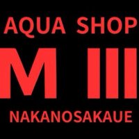 AQUA SHOP MⅢ (エムスリー)@大型魚・怪魚・珍魚の専門店 (@aquashop_m3) 's Twitter Profile