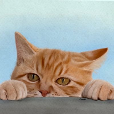 Athizgrazekii's profile picture. 