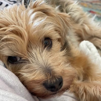 Aregan_5's profile picture. 