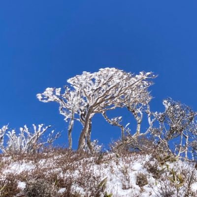 VP6Q2nacUF72068's profile picture. https://t.co/e62mkaYYUw このアカウントは登山と星のみです。他の話題はスルーします。メッセージは見ませんので、ご了承ください。フォローは星か山関係の方しかしません。