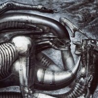 XENA (@xenomorphslxt) 's Twitter Profile
