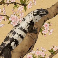 おすず (@suzu_mdrkw) 's Twitter Profile Photo