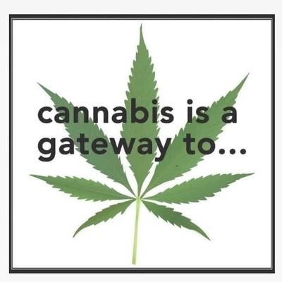 Macost147294's profile picture. I sell top quality grade A medical marijuana & more. 
I ship and deliver 📦✈✈worldwide packaging is 100% safe and 
secured☘💨
https://t.co/TzsRPATKZ1