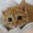 farfora1984's profile image