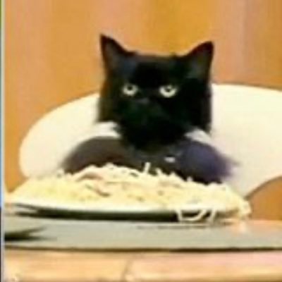 rillspagetticat's profile picture. 