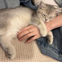 Erin (@aybirgenbaytem1) Twitter profile photo