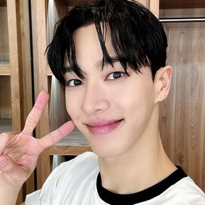 🇮🇩 I'm a LaByu-Starlight-Whiz ||
HIGHLIGHT X BEAST (2010-now)⁶ ||
VIXX (2013-Now)⁶ ||
THE WIND (15.03.2023-Now)⁷