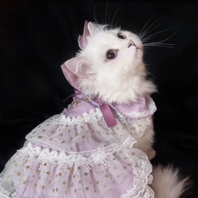 I love art💖🍒🎀Welcome into my coffret🎁✨My post is just a fairy tale🪄✨📖And, Just a cat talking in its sleep🌙💤🐈 I am your illusion🌌🫧