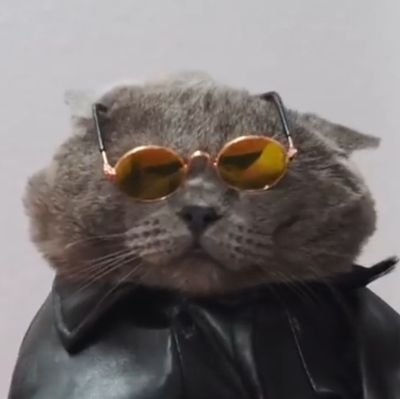 GatoDeFur's profile picture. 