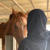 رآء (@iii2h) 's Twitter Profile