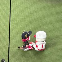 ちひろ (@rq1fsesyegmebta) 's Twitter Profile