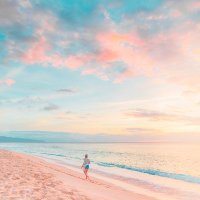 Estella Lank (@estellalan63298) Twitter profile photo