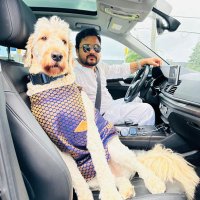 Arijeet (@arij33t) 's Twitter Profile