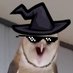 🟦🦋Sam.Kay🟦🦋(on Bluesky!) (@theautisticowl) Twitter profile photo 🟦🦋Sam.Kay🟦🦋(on Bluesky!) (@theautisticowl) Twitter profile photo