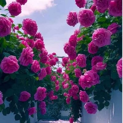 سید علی خامنه ای پیر عشق گفت
فریاد را غلبه ستم آفریده اند