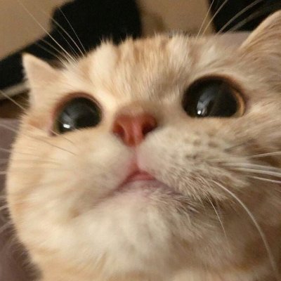 +10さんのプロフィール画像