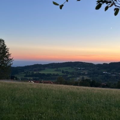 otzelot's profile picture. ❤️⚪️