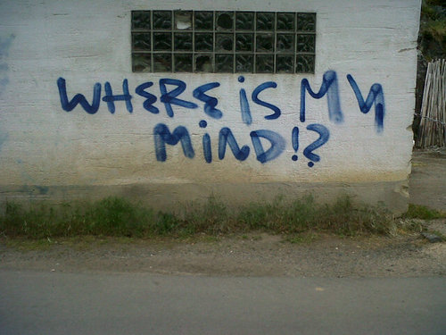 TimTheVin's profile picture. 