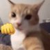 Andie (@dakwaaa) Twitter profile photo Andie (@dakwaaa) Twitter profile photo