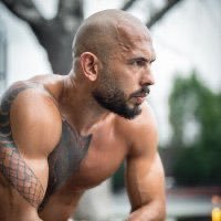 cobratate (@cobratatefx01) 's Twitter Profile