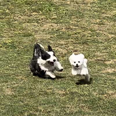 EY5gR0i9cW68168's profile picture.