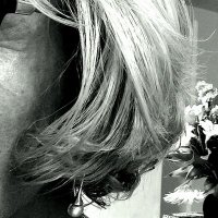 @QuirkyBird (@quirkiebird) 's Twitter Profile Photo @QuirkyBird (@quirkiebird) 's Twitter Profile Photo