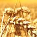 mutluluk3725 (@mutluluk3725) Twitter profile photo mutluluk3725 (@mutluluk3725) Twitter profile photo