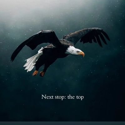 vinkiptoo's profile picture. Networking |

To boldly go where no $hell has gone before...