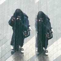 限界 (@orzeet) 's Twitter Profile
