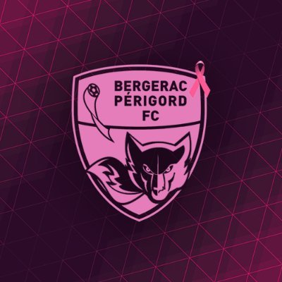 Compte Twitter Officiel du Bergerac Périgord FC ▶️ N2 ▶️ R1F ▶️ R1 📲Tiktok : bpfc.24 #BPFC 💙❤️