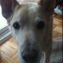 Mary Pompa - @marypompa - Twitter