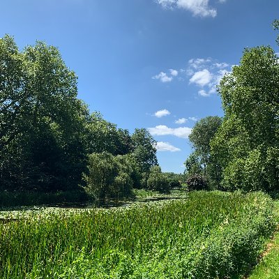 HitomiKuromiya's profile picture. 